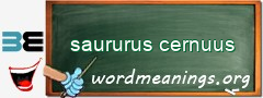 WordMeaning blackboard for saururus cernuus